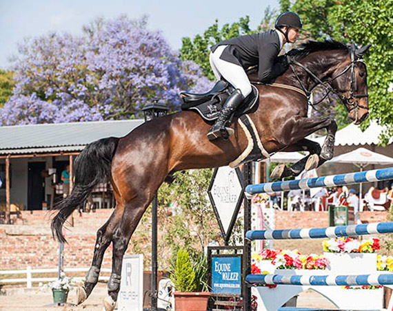 about us second slider image