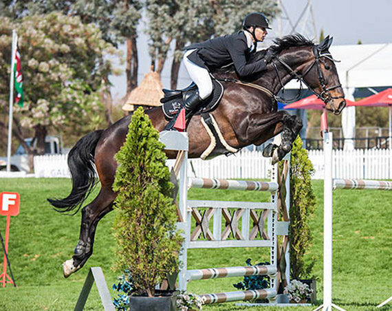 about us second slider image